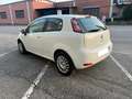 Fiat Punto 3p 1.4 easypower Young Gpl Blanco - thumbnail 2