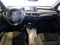 Lexus UX 250h UX Hybrid Business Gris - thumbnail 5
