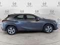 Lexus UX 250h UX Hybrid Business Gris - thumbnail 9