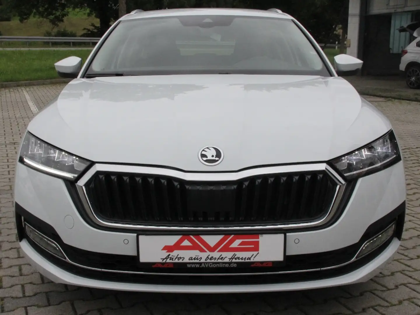 Skoda Octavia TDI Selection LED Teilleder Sitzheizung 17Z Weiß - 1