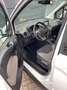 Ford Tourneo Courier 1.5 75 Cv Diesel 5 Posti White - thumbnail 8