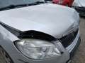 Skoda Roomster Style Grau - thumbnail 15