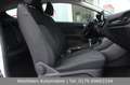 Ford Fiesta 1,0 EcoBoost 101PS|Apple CarPlay|Freispr. Weiß - thumbnail 13