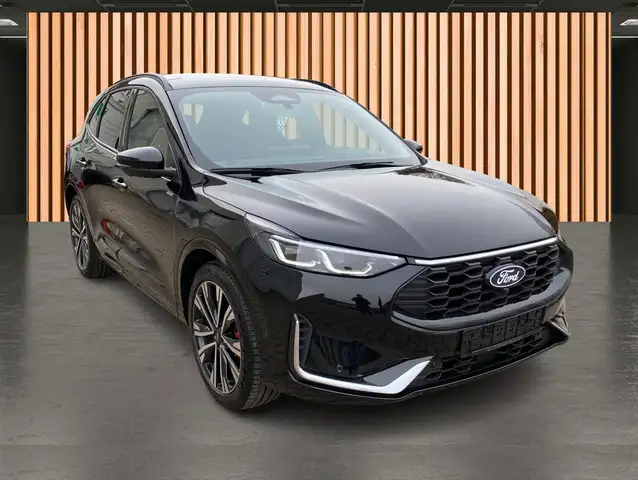 Ford Kuga view 19