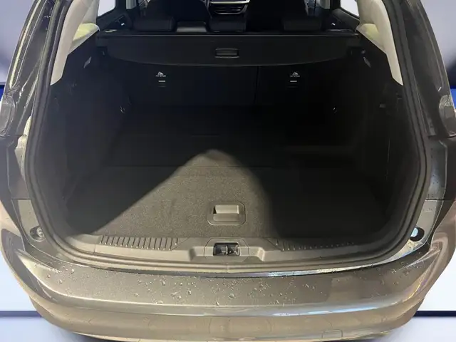 Ford Focus view 7