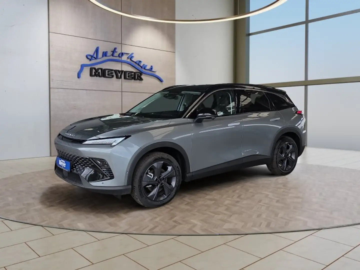 BAIC Sonstige Baic Beijing X55 Luxury 19*Alu/Pano/Leder/el.Klapp Grau - 1