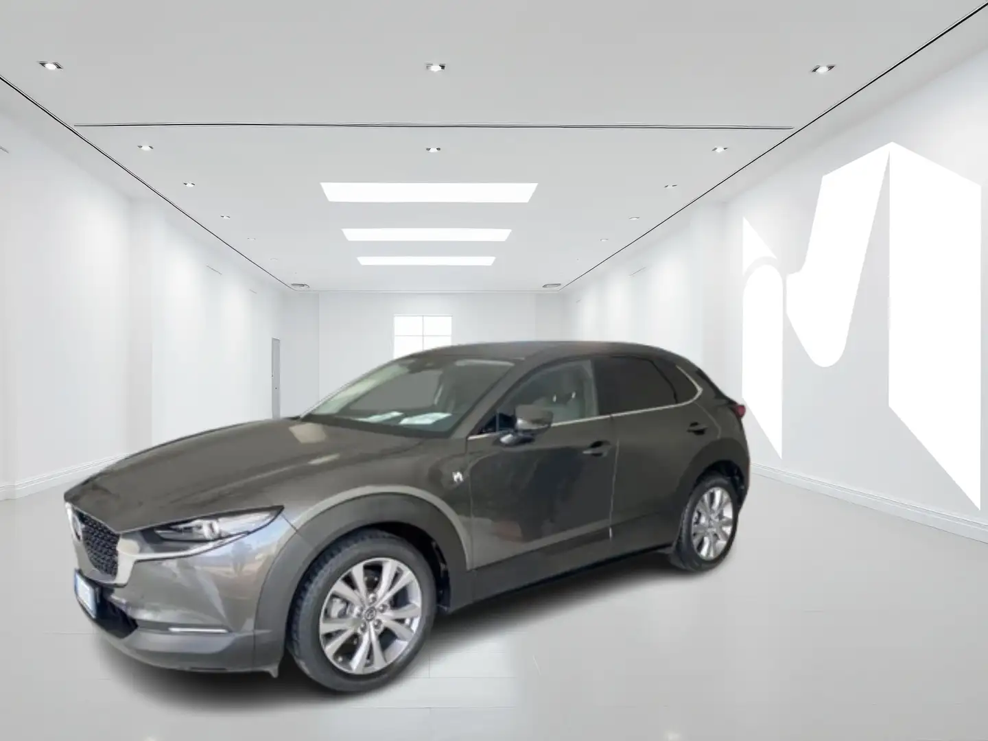 Mazda CX-30 CX-30 2.0 m-hybrid Exceed Bose Sound Pack FZ469EZ Gris - 1