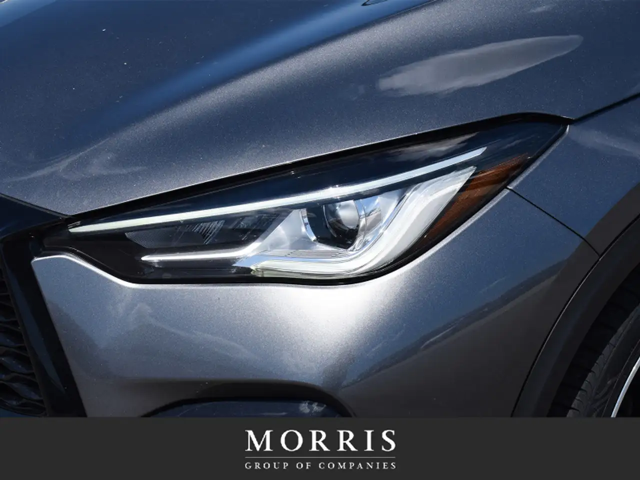 Infiniti QX50 photo Infiniti QX50