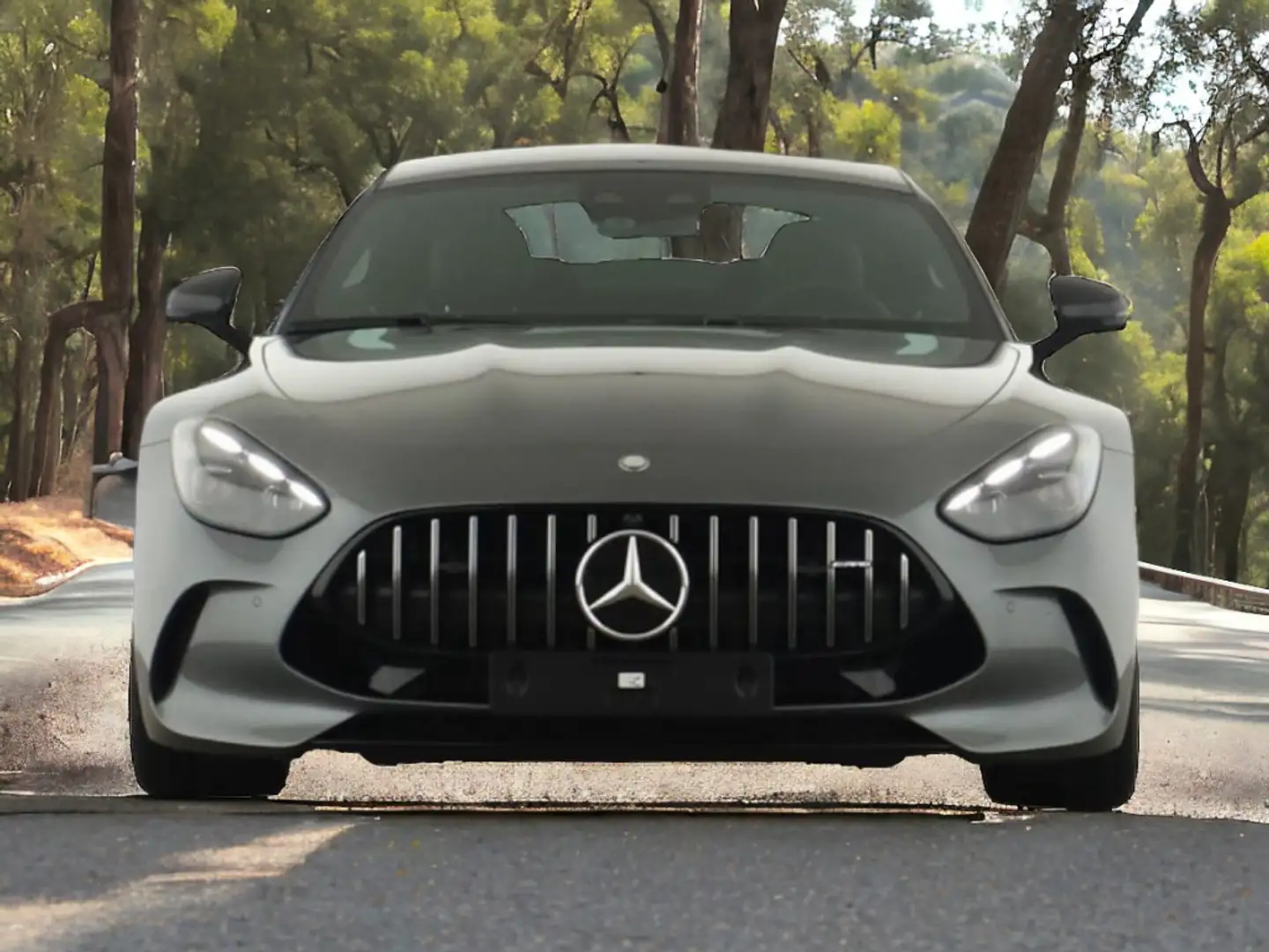 Mercedes-Benz AMG GT Coupé 63 S 4Matic+ Gris - 1