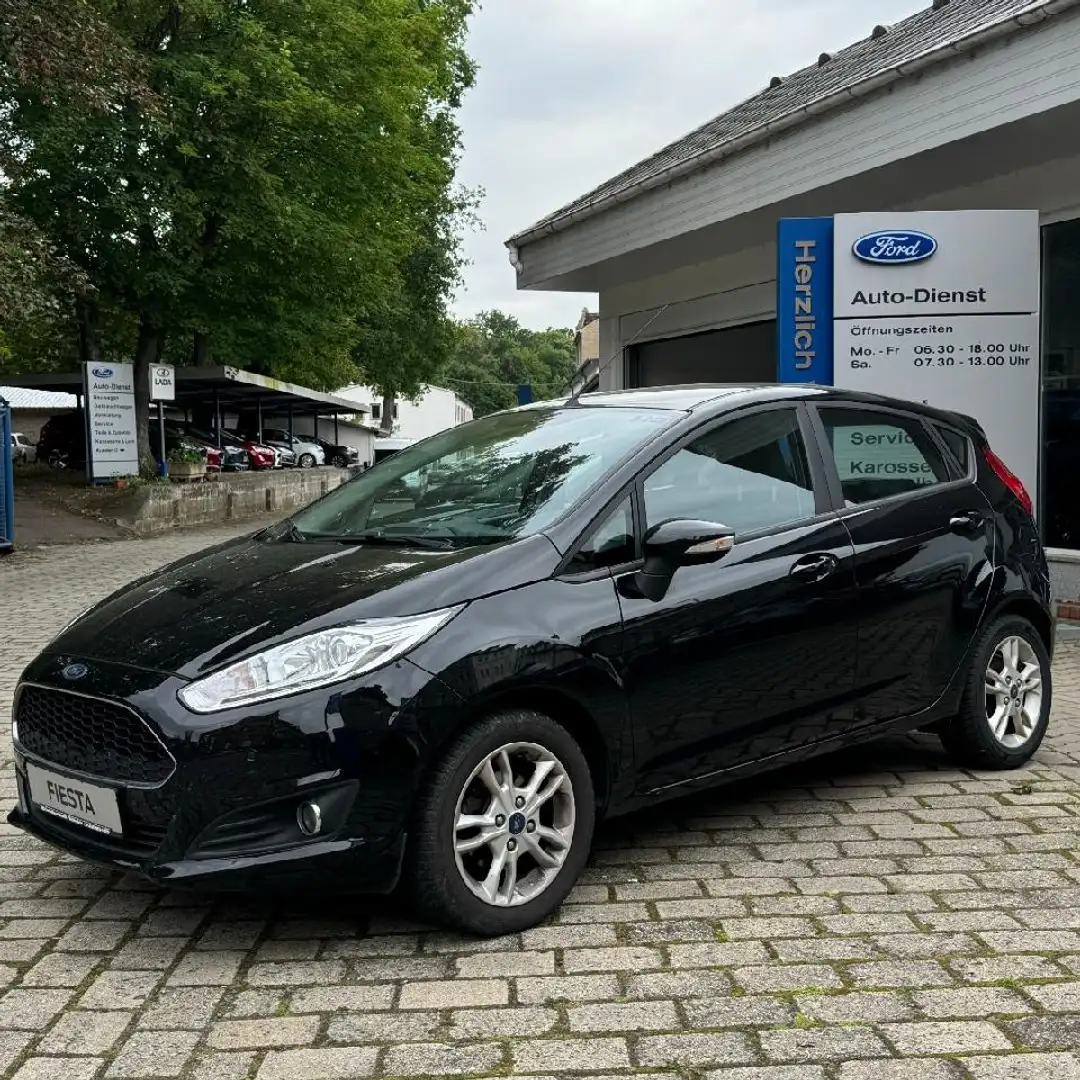 Ford Fiesta Celebration - 2