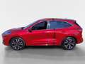 Ford Kuga 2.0 EcoBlue 88 kW ST-Line X Auto Rot - thumbnail 2