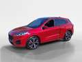 Ford Kuga 2.0 EcoBlue 88 kW ST-Line X Auto Rot - thumbnail 1