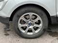 Ford EcoSport EcoSport 1.5 TDCi 100 FAP BVM6 Titanium - thumbnail 19