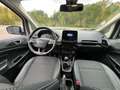 Ford EcoSport EcoSport 1.5 TDCi 100 FAP BVM6 Titanium - thumbnail 15