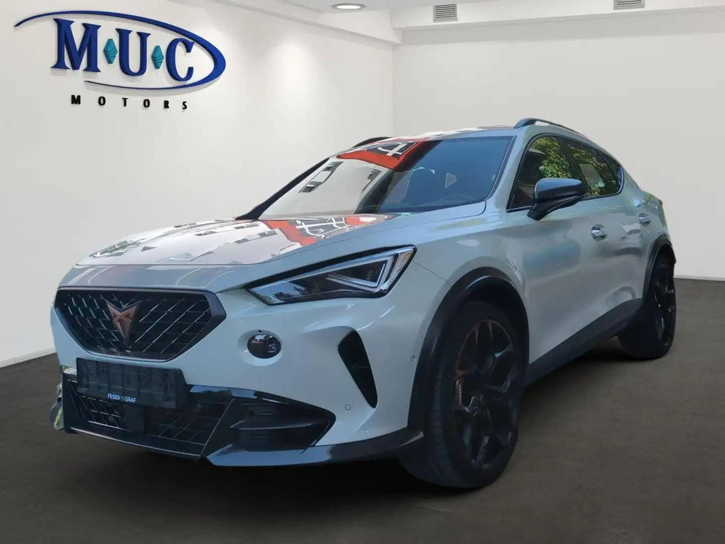 CUPRA Formentor 2.5 TSI VZ5 Edition Taiga Grey 4Drive Grau - 1