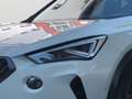 CUPRA Formentor 2.5 TSI VZ5 Edition Taiga Grey 4Drive Grau - thumbnail 7
