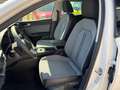 SEAT Leon Style Edition 1.5 TSI 115 PS Weiß - thumbnail 4