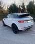 Land Rover Range Rover Evoque 5p 2.2 td4 Pure 150cv Bianco - thumbnail 4