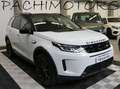Land Rover Discovery Sport 2.0 TD4 163 CV AWD Auto S 7 Posti - Pelle ** Blanc - thumbnail 14