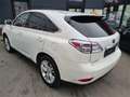Lexus RX 450h 4WD Hybrid *Leder*Navi* Wit - thumbnail 3
