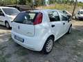 Fiat Punto 5p 1.4 easypower Lounge Gpl - thumbnail 3