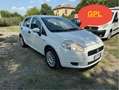 Fiat Punto 5p 1.4 easypower Lounge Gpl - thumbnail 1