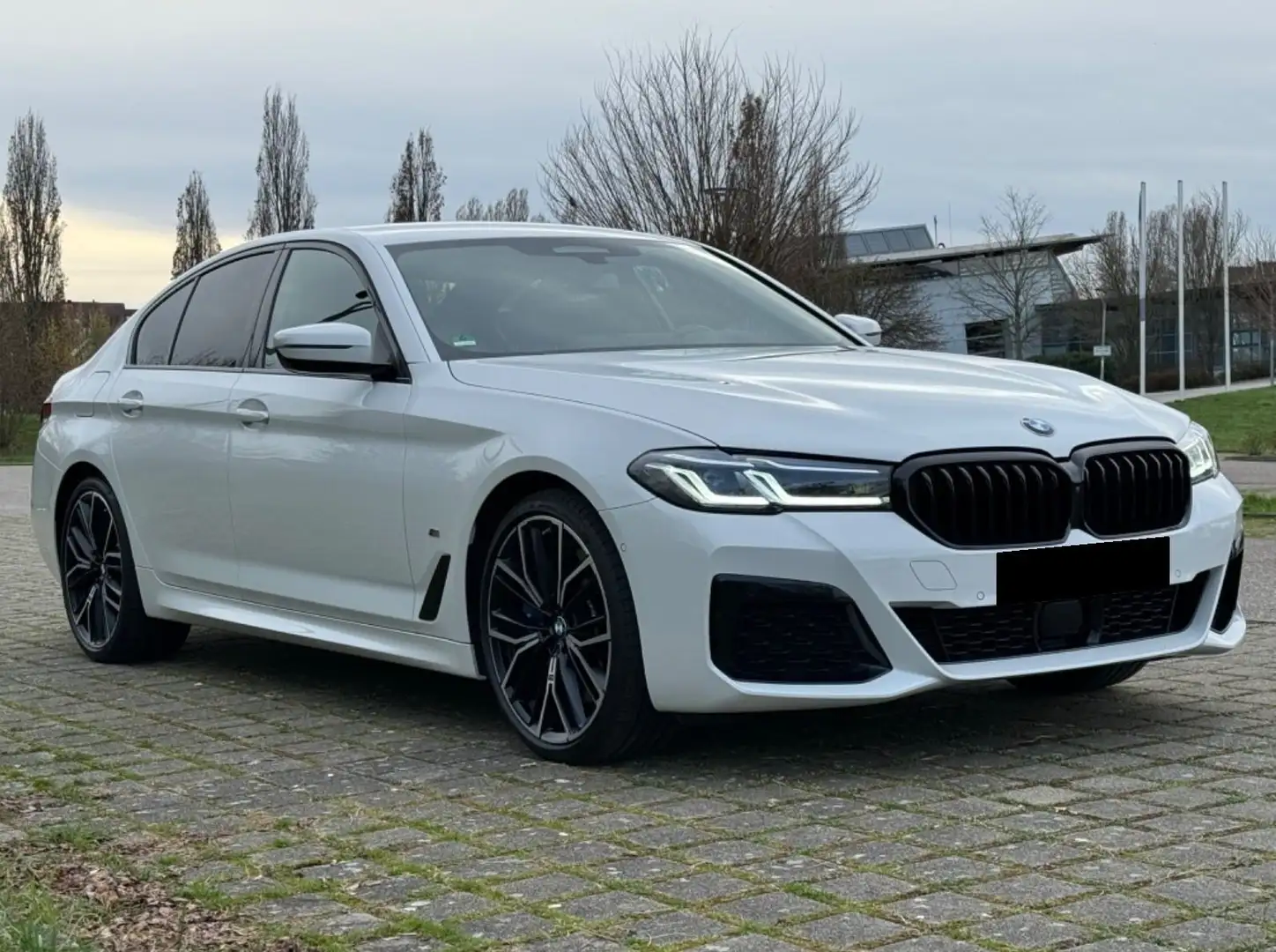 BMW 520 520d xDrive 48 V Aut. Weiß - 2