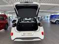 Ford Puma SOUND EDITION 155PS Automatik Weiß - thumbnail 17