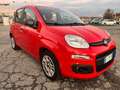 Fiat Panda 1.2 Easy easypower Gpl 69cv Rouge - thumbnail 3