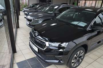 Bild 19 Skoda Karoq Selection Pano,ACC,AHK,18