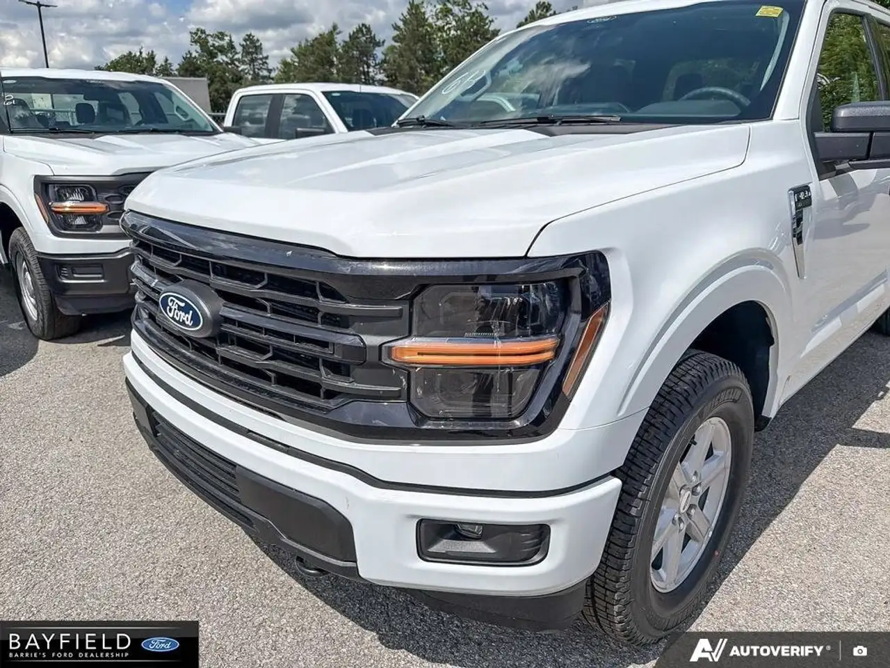 Ford F 150 photo Ford F 150