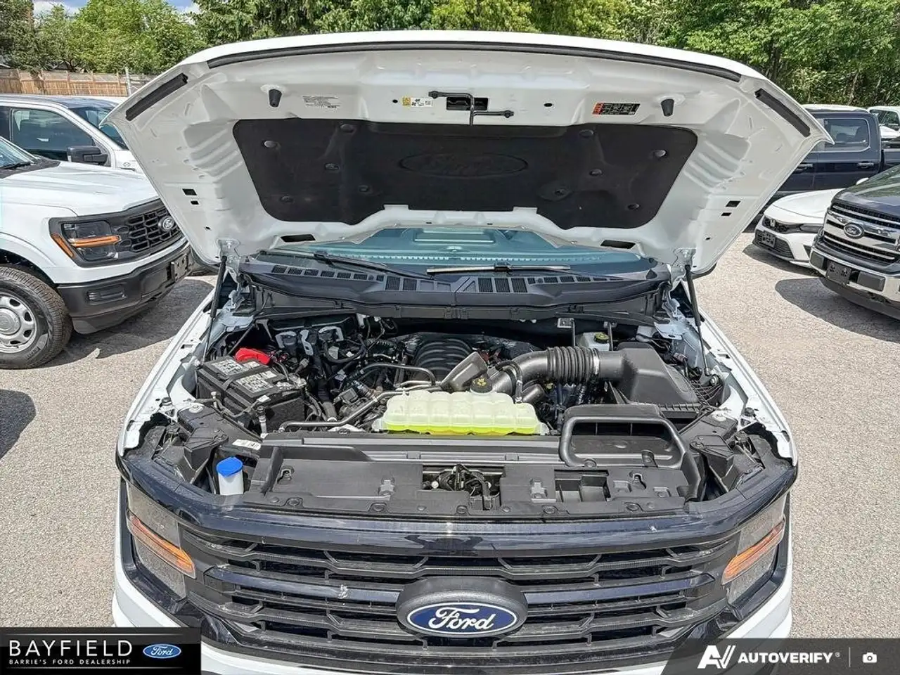 Ford F 150 photo Ford F 150