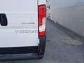 Citroen Jumper Jumper Heavy 35 L2H2 2.2 bluehdi 140cv S&S Wit - thumbnail 19