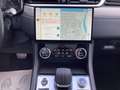 Jaguar F-Pace R-Dynamic SE Grau - thumbnail 8