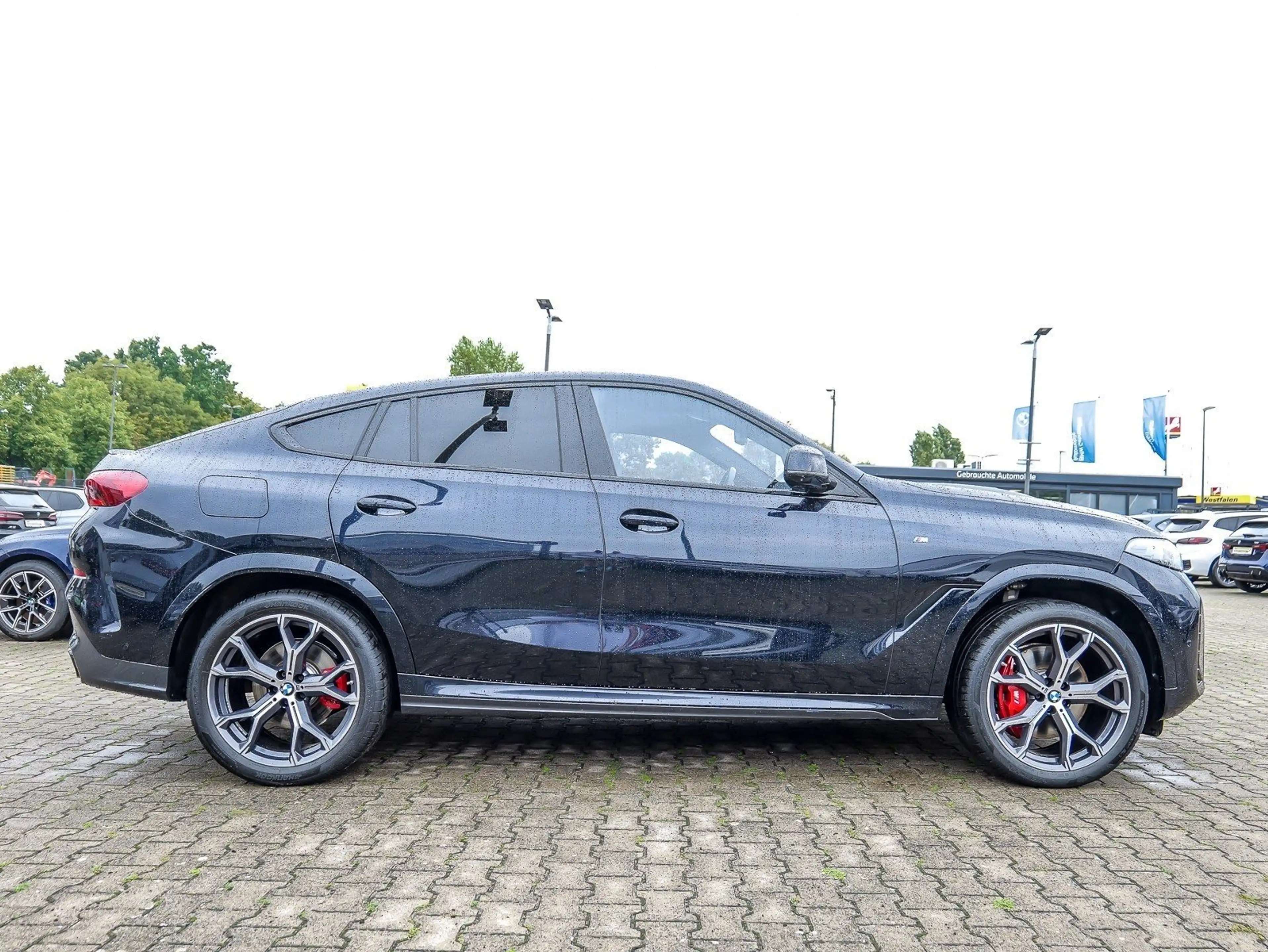 BMW X6 xDrive30d M Sport Pro PANO DA Prof. PA Prof. HUD H — photo 10