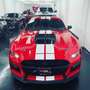 Ford Mustang GT500 golden ticket!! Rojo - thumbnail 1