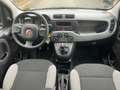 Fiat Panda Cross 1.0 GS Schwarz - thumbnail 9