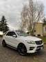 Mercedes-Benz ML 250 bt Premium 4matic auto Білий - thumbnail 4