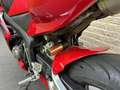 Honda CBR 600 Honda CBR 600 RR, Leovince 25.624 KM - thumbnail 20
