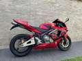 Honda CBR 600 Honda CBR 600 RR, Leovince 25.624 KM - thumbnail 7