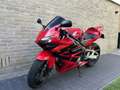 Honda CBR 600 Honda CBR 600 RR, Leovince 25.624 KM - thumbnail 17