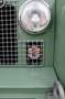 Land Rover Series Series IIa LWB 109 Зелений - thumbnail 15