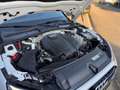 Audi A4 Limousine 35 TFSI Launch edition Business / Automa Blanc - thumbnail 31