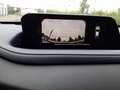 Mazda CX-30 Selection 2WD Grau - thumbnail 8