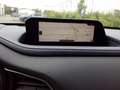 Mazda CX-30 Selection 2WD Grau - thumbnail 9