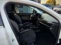 Fiat Tipo SW 1.6 mjt Lounge s&s 120cv Garanzia 12 Meis - thumbnail 12