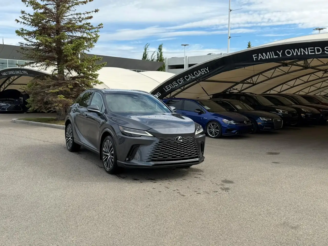 2024 Lexus RX