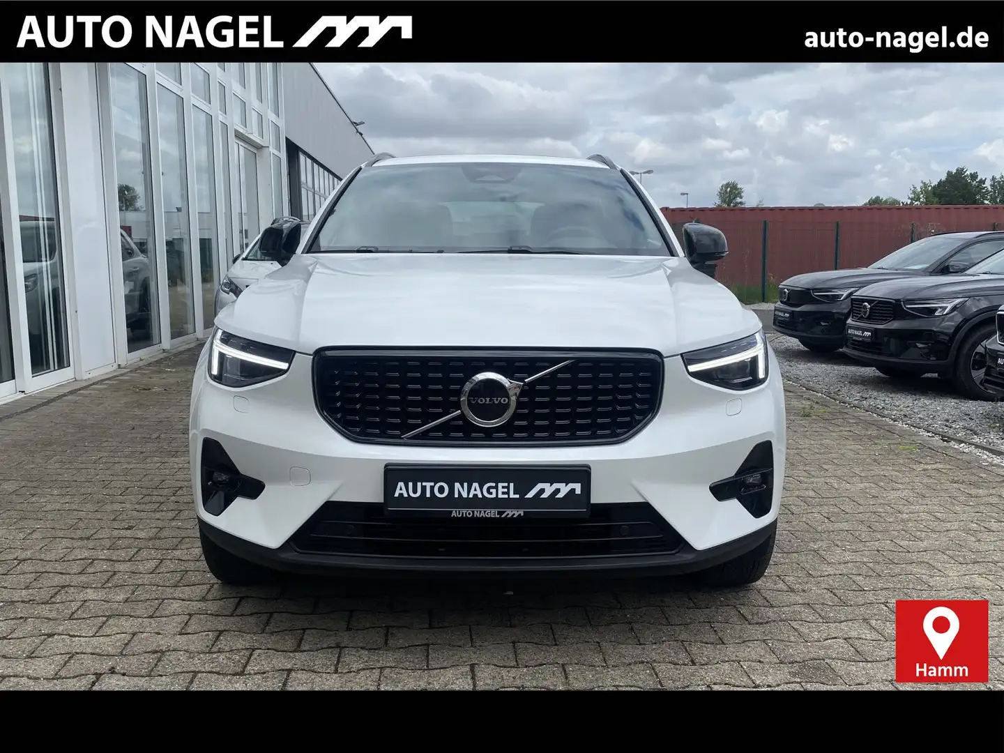 Volvo XC40 XC40 B4 Ultra Dark PIXEL-LED|SRA|19"|Ass.-Paket Weiß - 1