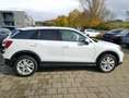 Audi Q2 35 1.5 TFSI, advanced, Klima, Navi, SHZ, LED, A... Weiß - thumbnail 8