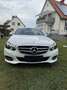 Mercedes-Benz E 250 BlueTEC 4Matic 7G-TRONIC Elegance - thumbnail 3